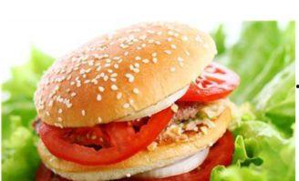 欧美汉堡打包方式图片